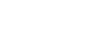 Logo Footer New Vision Painting